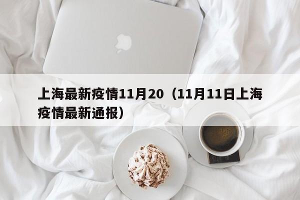 上海最新疫情11月20（11月11日上海疫情最新通报）
