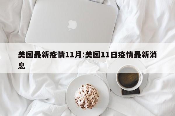 美国最新疫情11月:美国11日疫情最新消息