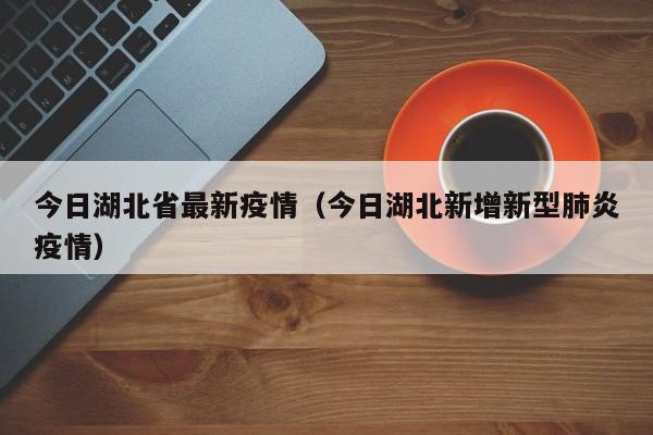 今日湖北省最新疫情（今日湖北新增新型肺炎疫情）