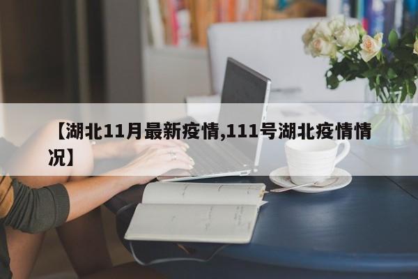 【湖北11月最新疫情,111号湖北疫情情况】